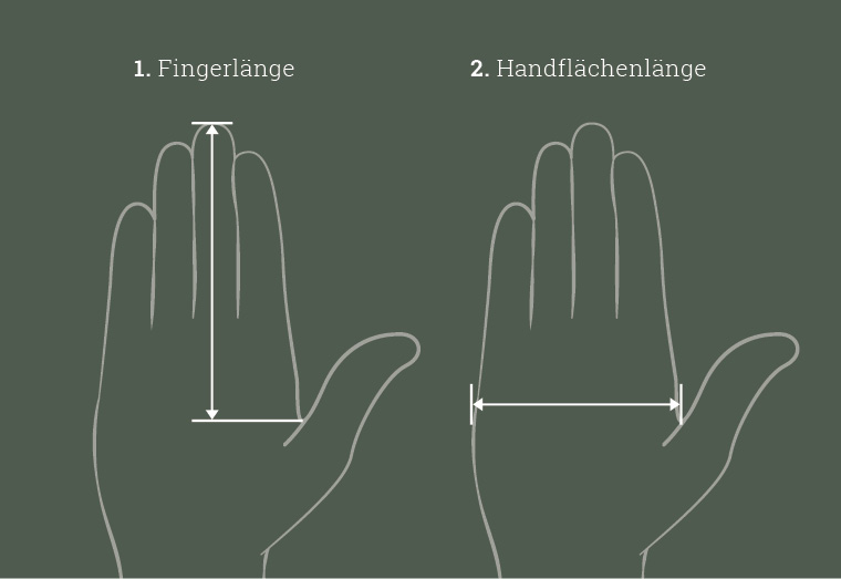 Handschuhgroesse für den Landig Schnittschutzhandschuh messen