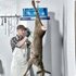 Landigs Wilde Kiste - E2 Beh�lter in gr�n oder blau
