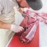Zerwirkset Jagd g�nstig online kaufen & sparen | LANDIG