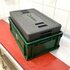 Wilde Thermobox | K�hlbox