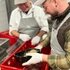 Landig Schinkenseminar - Vom Wild zum Meisterst�ck