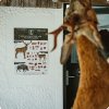 Dry-Aging