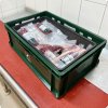 Landig Thermobox in Kiste geschlossen