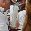 Landig Zerwirkseminar - Wild zerlegen neu gedacht