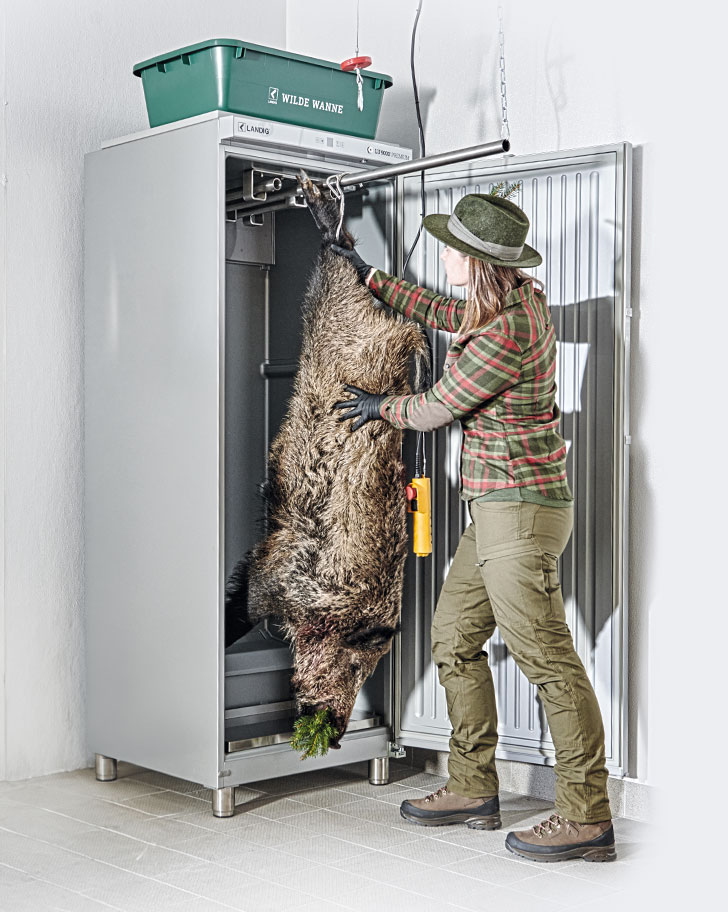 Wildkühlschrank für Schwarzwild kaufen