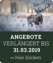 Sonder-Prospekt - Landig Spezial