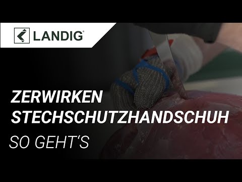 Landig Stechschutzhandschuh