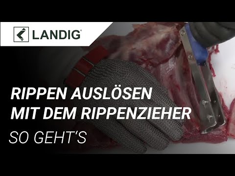 Landig Rippenzieher